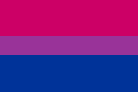 Bi Flag