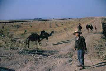 R. Wooldridge, Chamelier berbre en Tunisie